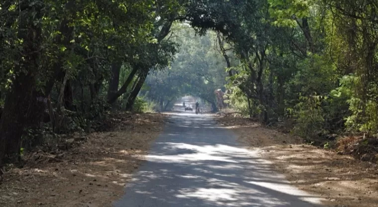 Forest road through Sanjay Gandhi National Park, Mumbai